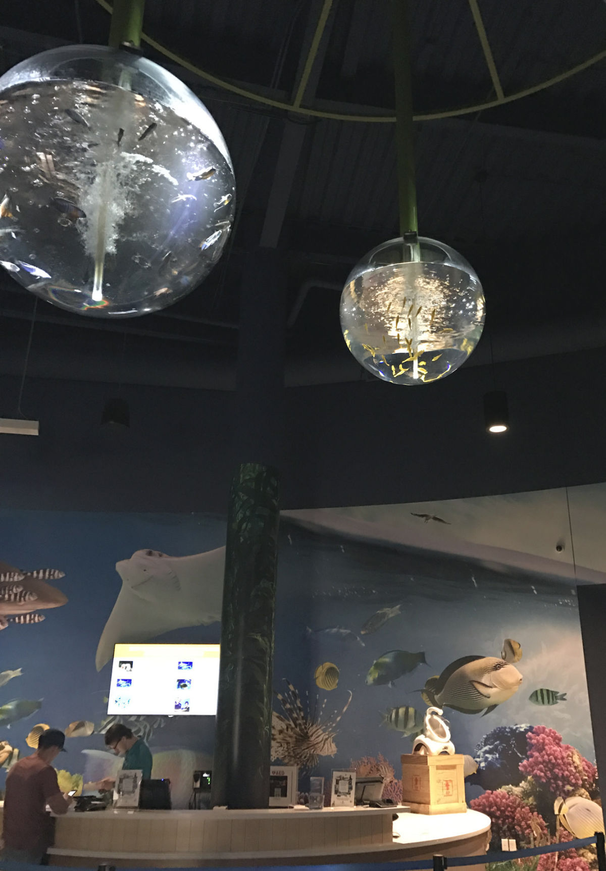 OdySea Aquarium in Scottsdale